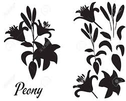 Maybe you would like to learn more about one of these? Lilly Silhouette Vector Illustration Bouquet Of Lillies Set Royalty Free Cliparts Vectors And Stock Illustration Image 121360921