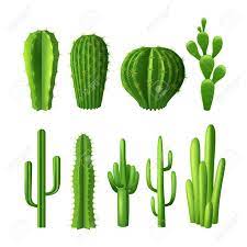 A significant number of these species are adapted to growing in arid environments, although some of them are native to rainforests and tropical climate. Different Types Of Cactus Plants Realistic Decorative Icons Set Royalty Free Cliparts Vectors And Stock Illustration Image 42462398