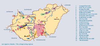 No recent searches yet, but as soon as you have some, we'll display them here. Winegrowing In Hungary Sommeliers International