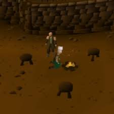 It's a pretty afkable skill and one of the fastest one to . Osrs Cooking Training Guide From Level 1 To 99 Probemas