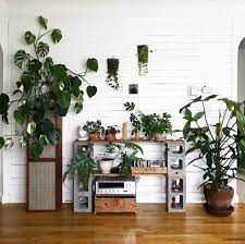P I N T E R E S T Pollnow2002 Urban Apartment Plants Decor