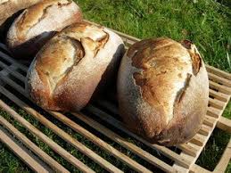Pain Au Levain