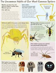 The arachnids are seventh in number of species of all animal orders. The Uncommon Habits Of Our Most Common Spiders American Scientist
