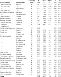 Image result for Chloris mossambicensis