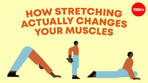 Image result for Stretching
