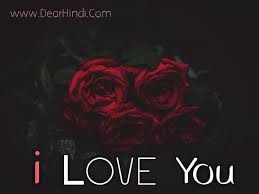 But they are all beautiful in their own way … or at least i think so! I Love You Roses Images Beautiful Pics Of Love Rose With Quotes Download Dear Hindi Meaning In Hindi
