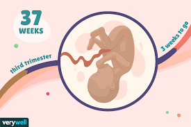 It's not common to have an ultrasound at 3 weeks pregnant, unless your doctor has concerns about ectopic pregnancy. 37 Weeks Pregnant Baby Development Symptoms And More