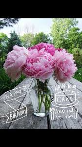 Pin By Carol Adams On Birthday Memes Flowers Budget Flowers Beautiful Flowers