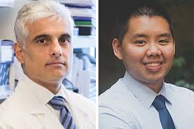 chemotherapy Archives