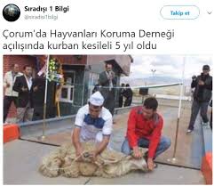 Yakin Zamanda Turkiye De Yasanmis Olan Ilginc Olaylar Cezmikalorifer Com