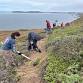 Volunteer Stewardship Day at Jenner Headlands Preserve