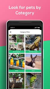 We did not find results for: Pet Market Live For Android Apk Download