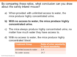 Osmoregulation And Excretion Ppt Video Online Download