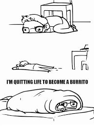 Imma Be A Burrito Now Burritos Daily Funny Funny Pictures