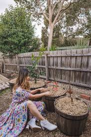 Fruit trees and container specs. How To Grow Fruit Trees In Containers Connie And Luna