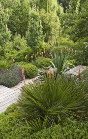 Spikes And Leaves Landscape Design Garden Landscape Design Garden Design