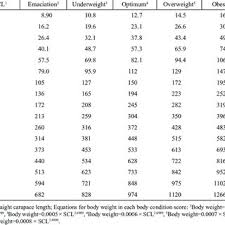 Female adults will reach 9 to 12 inches in size within 5 to 6 years. Pdf Body Condition Scoring And Obesity In Captive African Side Neck Turtles Pelomedusidae