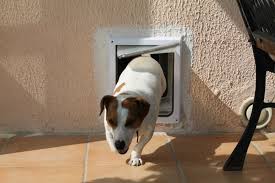 Les avis chatière electronique de nos membres vous seront aussi utiles pour faire votre sélection. Chatiere Starnimo