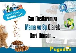 Pugedon Panosundaki Pin