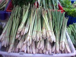 At present, the world annual production of citronella oil is approximately 4. Serai Definition Und Synonyme Von Serai Im Worterbuch Malaysisch
