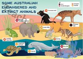 Australian Endangered Animals Poster Endangered Animals Australian Animals Science Teaching Resources