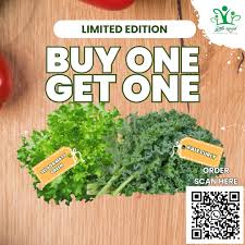 Hei, Healthy Kendals!✨ Ada kabar gembira nih buat kalian! Sayur Kendal lagi  ada promo BUY ONE GET ONE 😱 untuk Selada Matt Green dan Kale Curly. Yuk!  buruan di order📝😉 Salam Sehat,