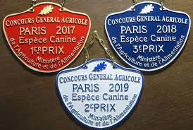 En direct, photos et vidéos. Concours Agricole Salon De Lagriculture