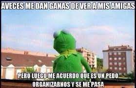 Rana Rene Meme Mexican Humor Spanish Kermet The Frog Mexican Humor Humor Funny Memes