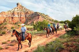 Rent a whole home for your next weekend or holiday. 8 Great Quirky Stays Texas Highways
