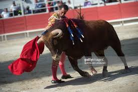 Image result for ivan fandiño