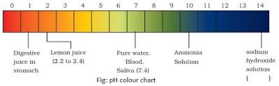 To Find The Ph Of The Samples By Using Ph Paper Universal