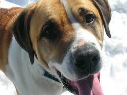 Dr Kim Kozik Moynihan in Burnt Hills, NY 12027