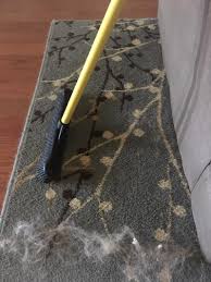 23 Tips And Products That Ll Save You From Being Covered In Pet Hair Dog Hair Cleaning Cleaning Pet Hair Rubber Broom