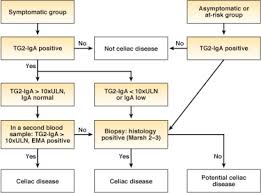What people with celiac disease need to know about osteoporosis. Aga Clinical Practice Update On Diagnosis And Monitoring Of Celiac Disease Changing Utility Of Serology And Histologic Measures Expert Review Gastroenterology