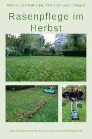 Rasen Im Herbst Winterfest Machen Und Klee Entfernen Herbst Rasenpflege Rasen Rasenpflege
