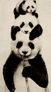 Cute Panda Wallpaper Android 2020 Cute Wallpapers