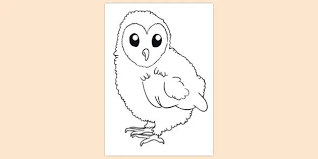 Color in this picture of baby owl and share it with others today! Free Baby Owl Colouring Pages Teacher Made