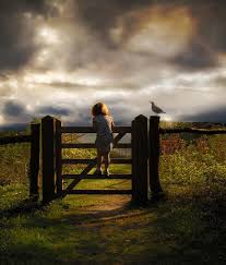 Check spelling or type a new query. 12 Photos Of Beautiful Nature Beautyharmonylife