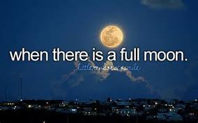Full moon quotes family quotes bruno mars quotes. Full Moon Crazy Quotes Drone Fest