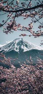 Mt. Fuji with Sakura in Japan 