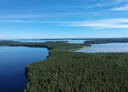 Opiskelijat valitsevat wilmassa kursseja, seuraavat. 9 Reasons To Visit Lahti Finnish Lakeland S Green Getaway