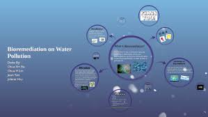 It is a type of waste management technique which involves the use of organisms to remove or utilize the pollutants from a polluted area. Bioremediation On Water Pollution By Micky Chua