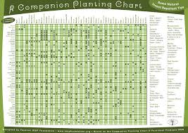 companion planting chart biolinked blog