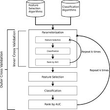 Validation Strategy Flow Chart Of The Validation Strategy