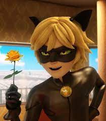 Cat Noir Miraculous Ladybug Oc Miraculous Ladybug Movie Miraculous Ladybug Anime