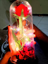 Pioneer woman recipes for an unforgettable thanksgiving. Dayax Dalnuurshe Pa Twitter Waxaan U Mahadcelinayaa Xaaskeyga Aan Jecllhy Farax Abdirahim Oo Maanta Hadiyad Ahaan Iigu Keentay 4ta Sheey Een Ugu Jecllhy Oo Ah Perfonkii Ugu Horeyay Ee Hbnka Aan Isbaranay Isiisay One Love Buugaag