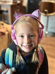 PDA autism mamas here? Level 1-2 ASD? We are wondering about the next steps  for family therapy