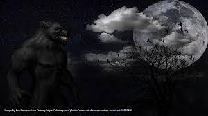 In folklore, a werewolf (old english: The Werewolf Panic Of The 1970s Folklorethursday