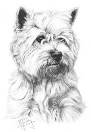 Drawing From Line To Life Animal Drawings Animal Sketches Dog Paintings