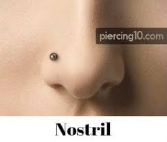 Piercing En La Nariz Nostril Y Otros 4 Que Querras Tener